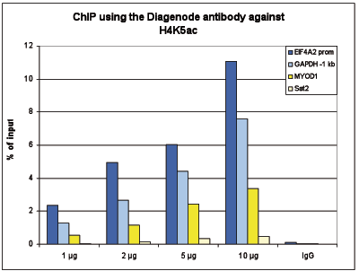 H4K5ac Antibody ChIP Grade 