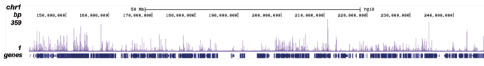 H4K5ac Antibody ChIP-seq Grade