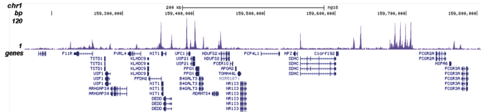 H4K5ac Antibody for ChIP-seq