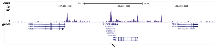 H4K5ac Antibody for ChIP-seq assay