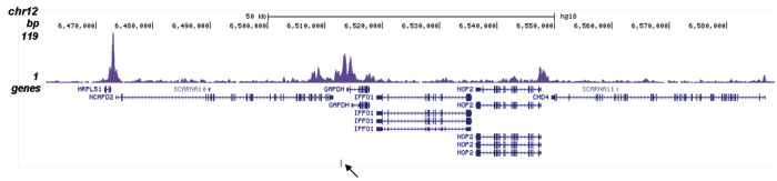 H4K5ac Antibody validated in ChIP-seq