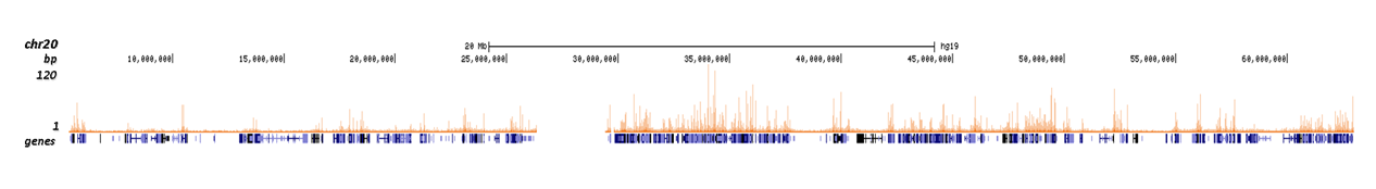 H4K5ac Antibody validated in ChIP-seq 