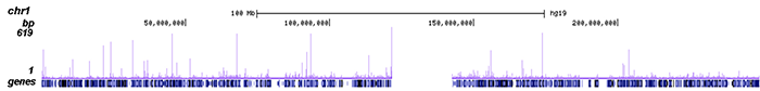 ChIP-seq figure A