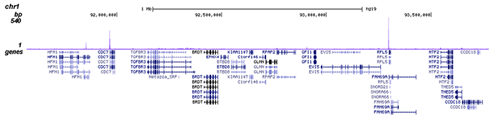 ChIP-seq figure B