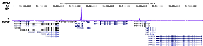 ChIP-seq figure C