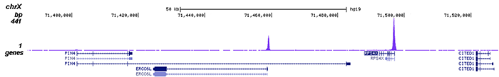 ChIP-seq figure D