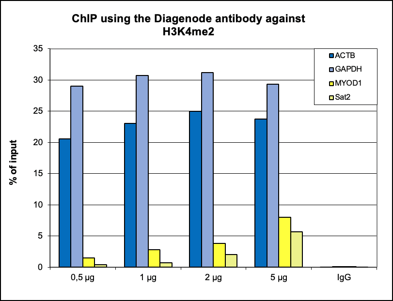 H3K4me2 Antibody ChIP Grade