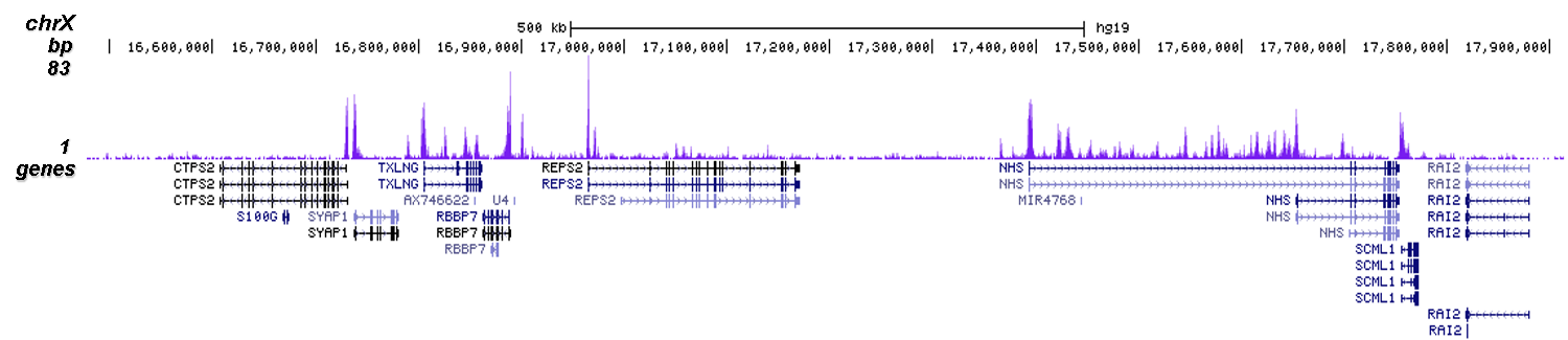H3K4me2 Antibody for ChIP-seq