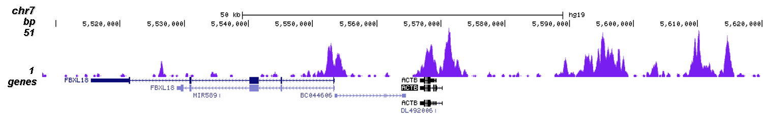 H3K4me2 Antibody for ChIP-seq assay