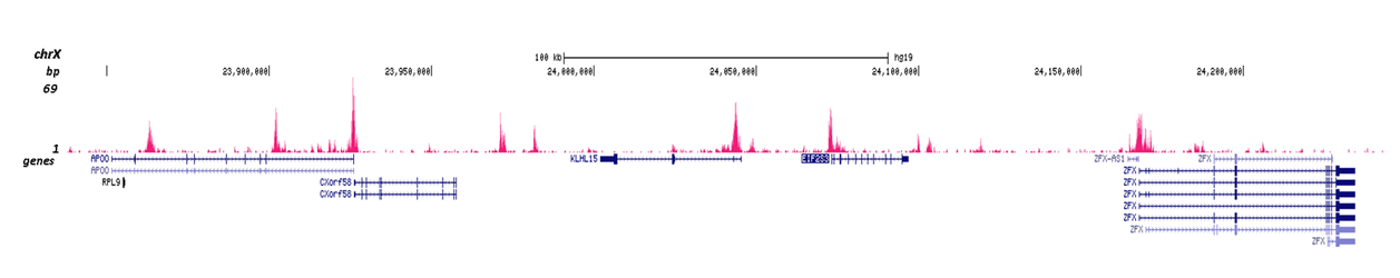 H3K4me2 Antibody Cut&Tag