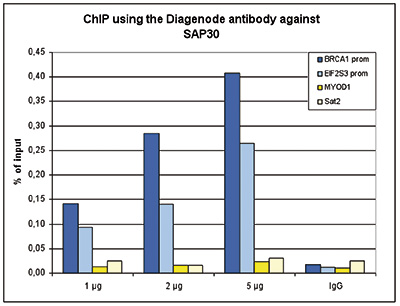 SAP30 Antibody ChIP-seq Grade