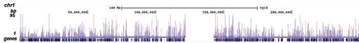 SAP30 Antibody ChIP-seq Grade