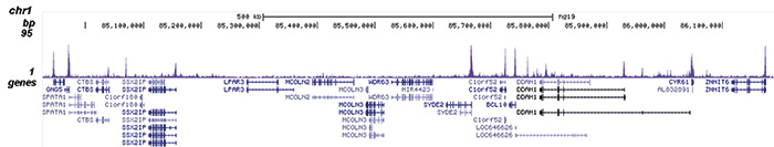 SAP30 Antibody for ChIP-seq