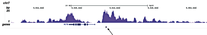 H3K4me1 Antibody ChIP-seq Grade