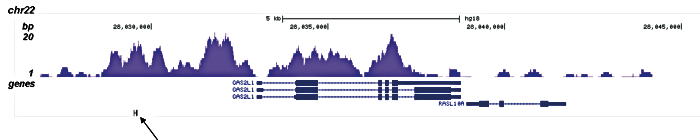 H3K4me1 Antibody for ChIP-seq