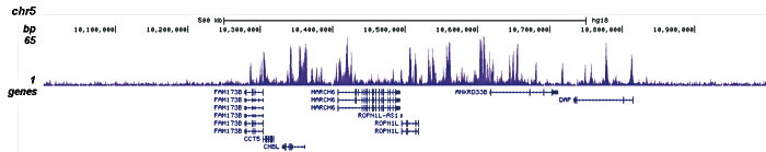H3K4me1 Antibody validated in ChIP-seq