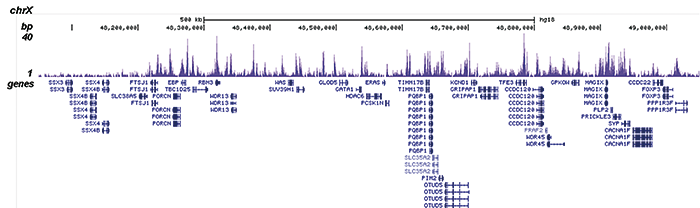 H3K4me1 Antibody for ChIP-seq assay