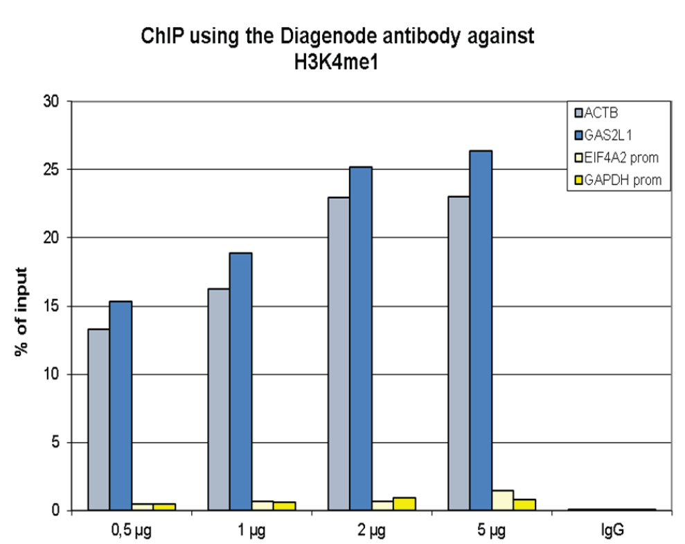 H3K4me1 Antibody ChIP Grade