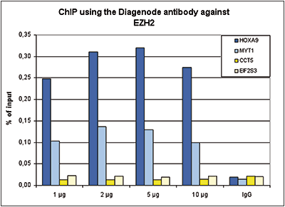 EZH2 Antibody ChIP Grade 