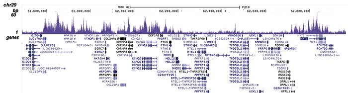 EZH2 Antibody for ChIP-seq assay