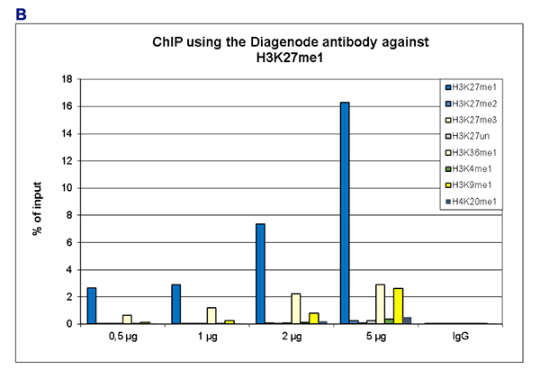 H3K27me1 Antibody ChIP Grade