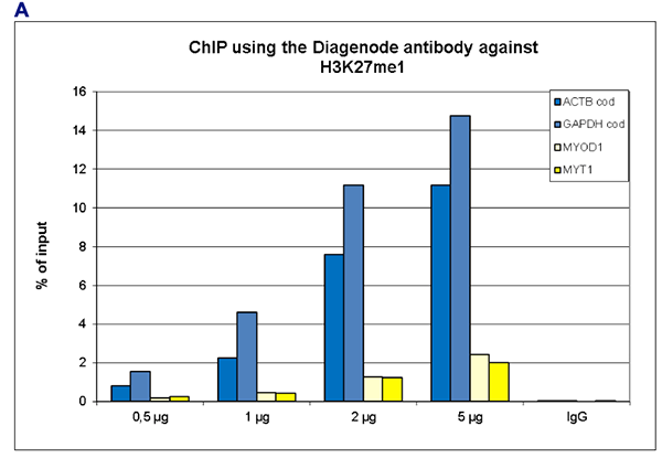 H3K27me1 Antibody ChIP Grade