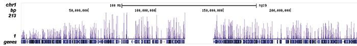 H3K79me2 Antibody ChIP-seq Grade