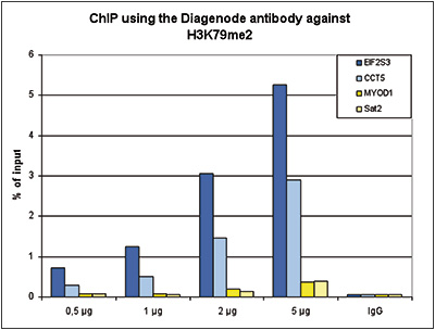 H3K79me2 Antibody ChIP Grade