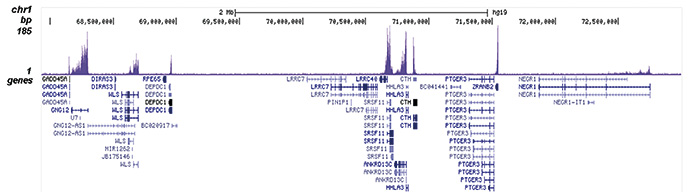 H3K79me2 Antibody for ChIP-seq
