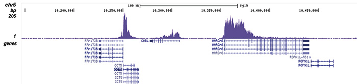 H3K79me2 Antibody validated in ChIP-seq