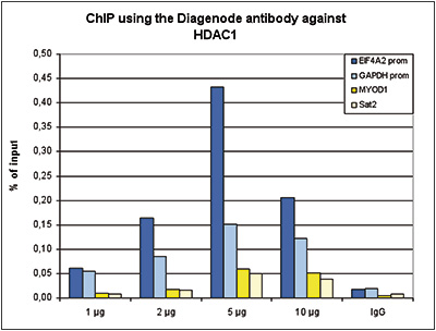 HDAC1 Antibody ChIP Grade