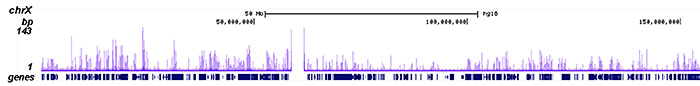 HDAC1 Antibody ChIP-seq Grade