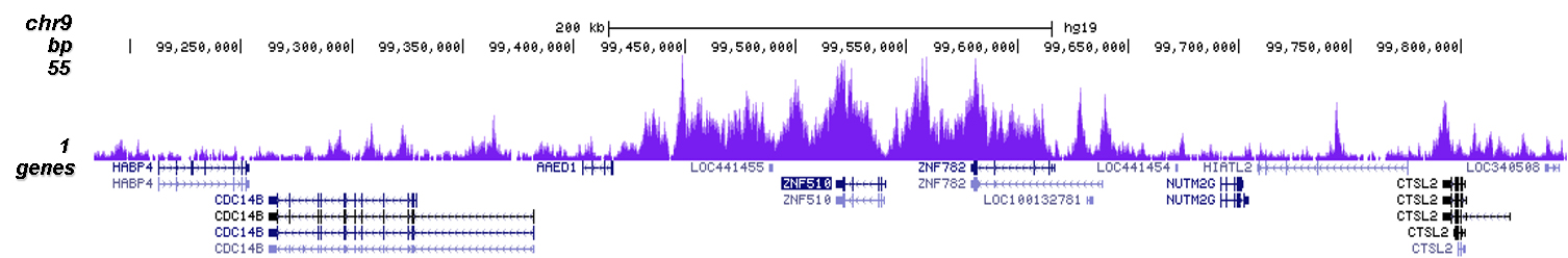 H3K9me3 Antibody for ChIP-seq 