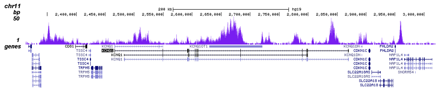 H3K9me3 Antibody for ChIP-seq assay