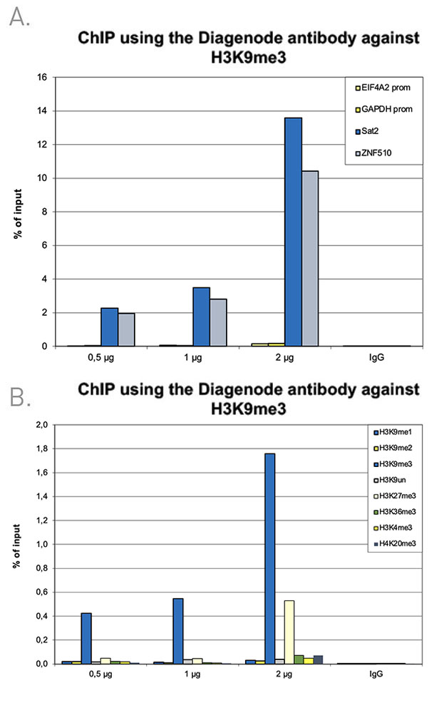 H3K9me3 Antibody ChIP Grade