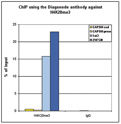 H4K20me3 Antibody for ChIP