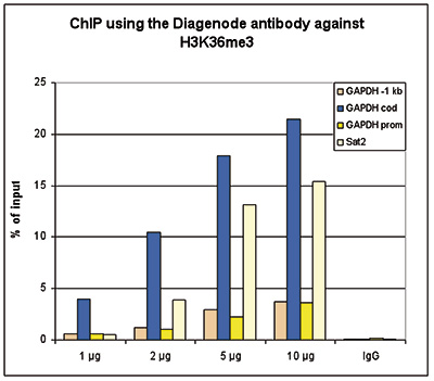 H3K36me3 Antibody ChIP-seq