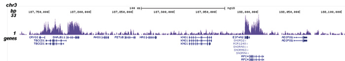 H3K36me3 Antibody validated in ChIP-seq