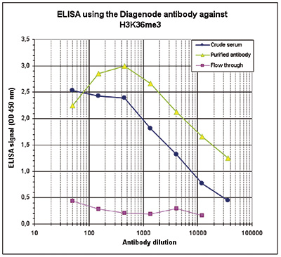 H3K36me3 Antibody ELISA validation