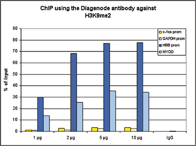 H3K9me2 Antibody ChIP Grade