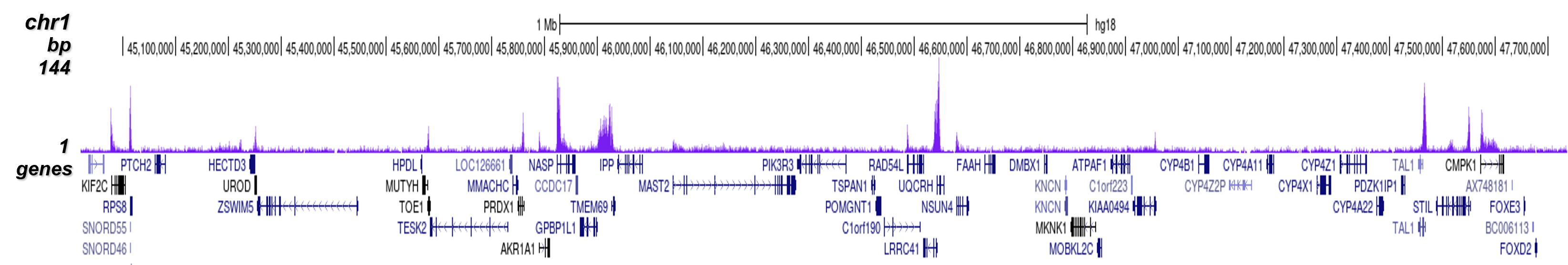 H3K79me3 Antibody for ChIP-seq