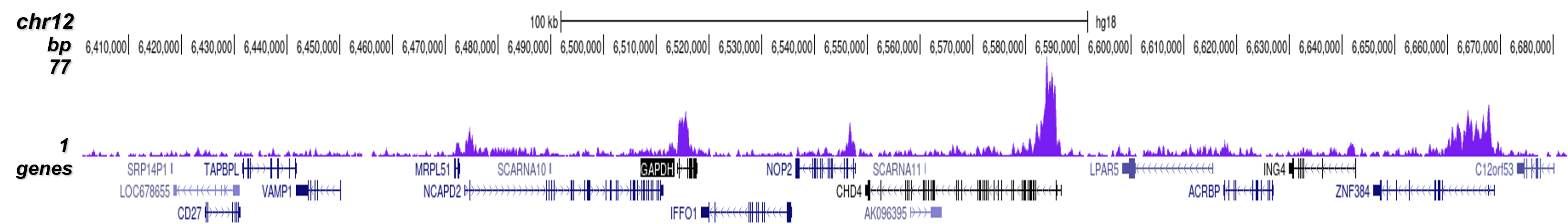 H3K79me3 Antibody for ChIP-seq assay