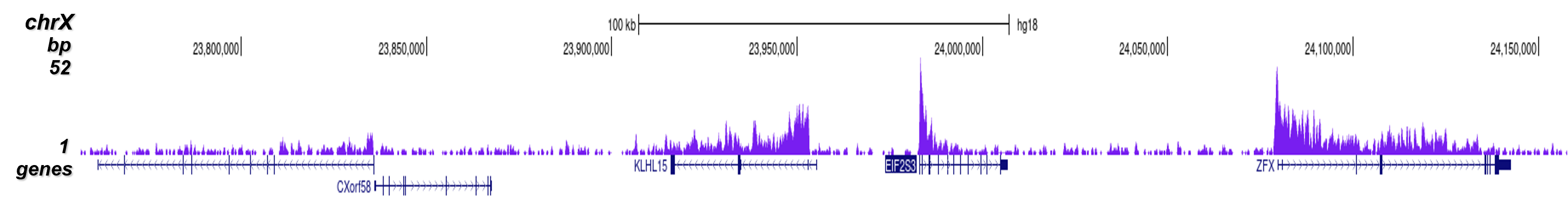 H3K79me3 Antibody validated in ChIP-seq