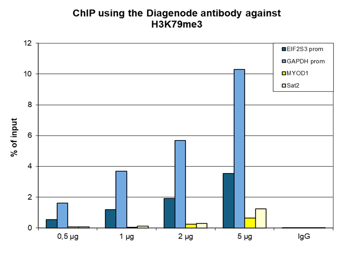 H3K79me3 Antibody ChIP Grade