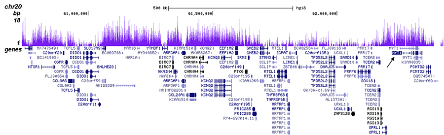 H3K27me3 Antibody ChIP-seq Grade