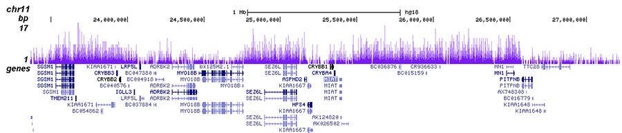 H3K27me3 Antibody Validated in ChIP-seq