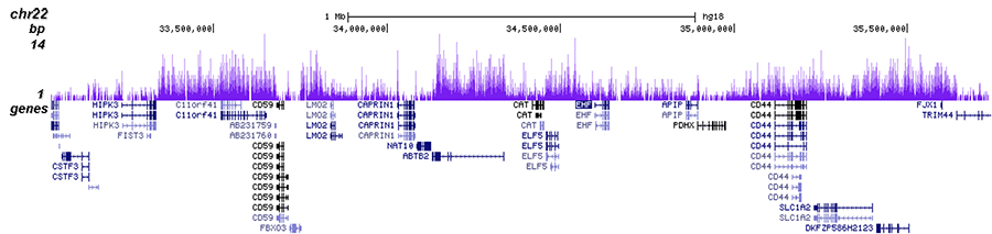 H3K27me3 Antibody for ChIP-seq