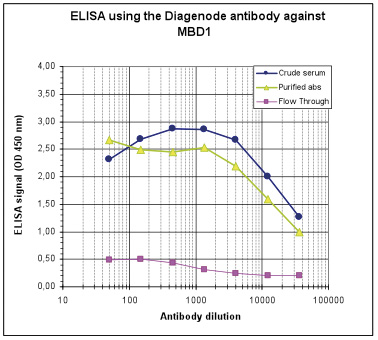 MBD1 Antibody ELISA validation