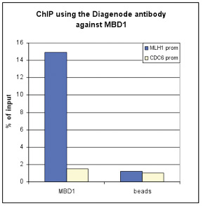 MBD1 Antibody ChIP Grade