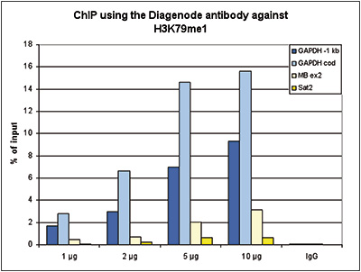 H3K79me1 Antibody ChIP Grade